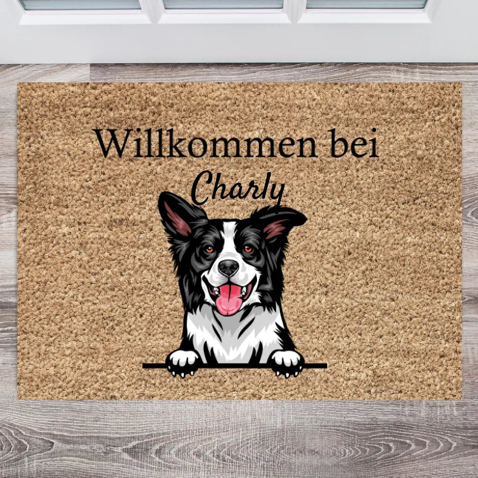 Hondenliefhebbers (1-4 Honden) - Persoonlijke Deurmat