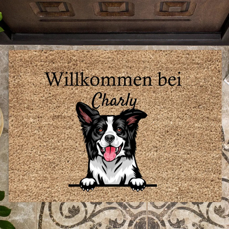 Hondenliefhebbers (1-4 Honden) - Persoonlijke Deurmat
