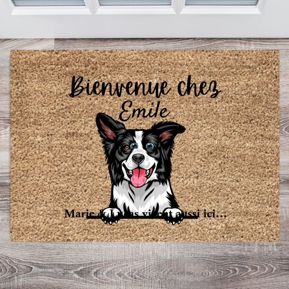Mes Chats - Paillasson Personnalisé (1 à 4 animaux de compagnie)