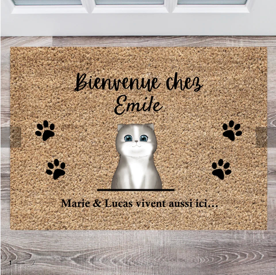 Mes Chats - Paillasson Personnalisé (1 à 4 animaux de compagnie)