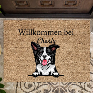 Welcome Pets - Personalized Doormats