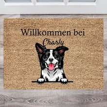 Load image into Gallery viewer, Gepersonaliseerde huisdierdeurmat hond en kat (1-4 huisdieren) 
