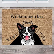 Load image into Gallery viewer, Gepersonaliseerde huisdierdeurmat hond en kat &quot;Onder het gordijn&quot; (1-4 huisdieren) 
